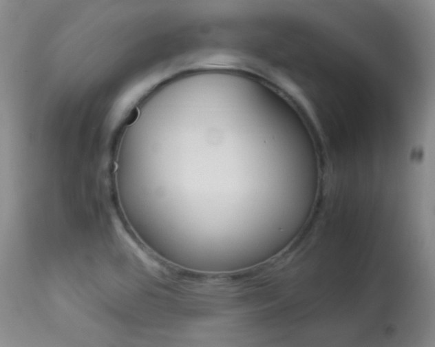 X0000113931464200909250904
