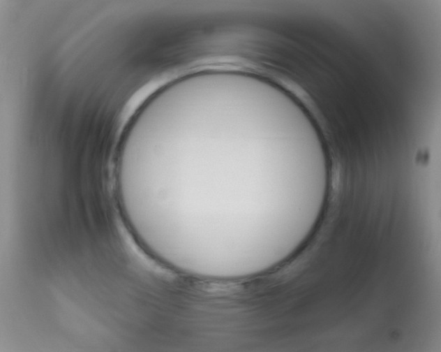 X0000113931466200909250904