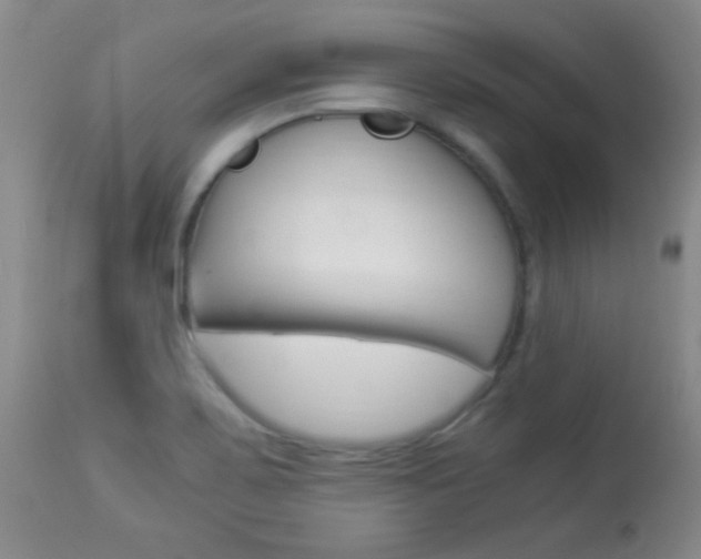 X0000113931467200909250904