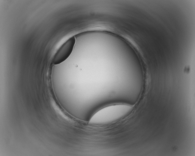 X0000113931468200909250904