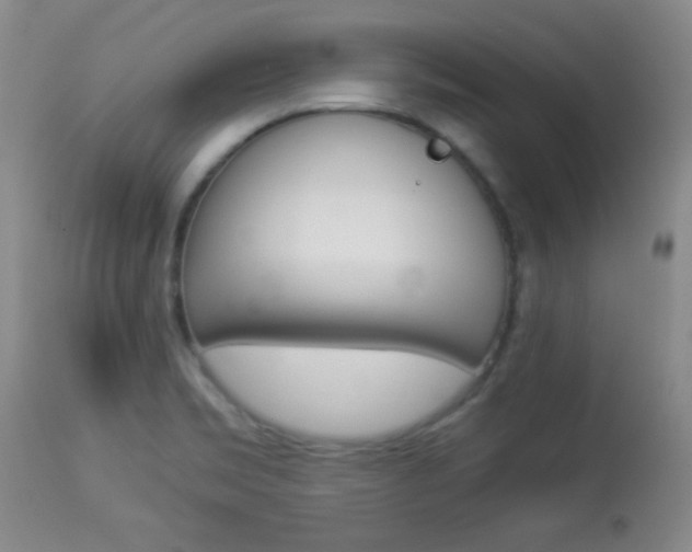 X0000113931469200909250904