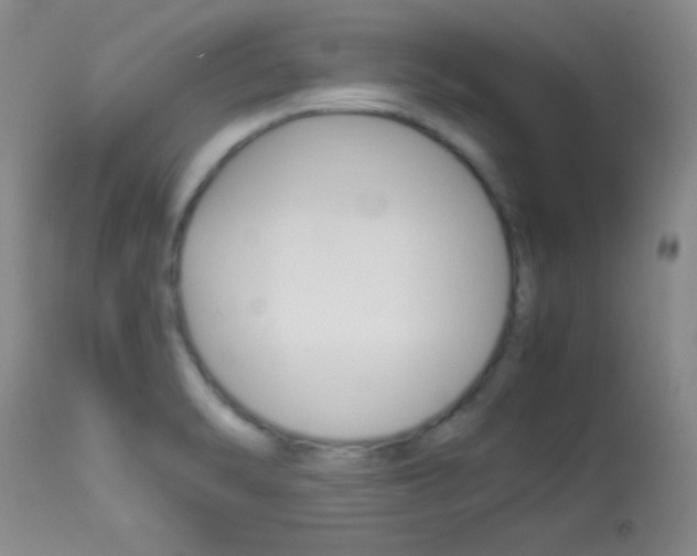X0000113931470200909250904