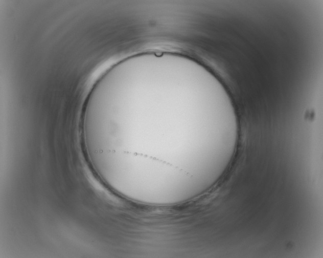 X0000113931471200909250904