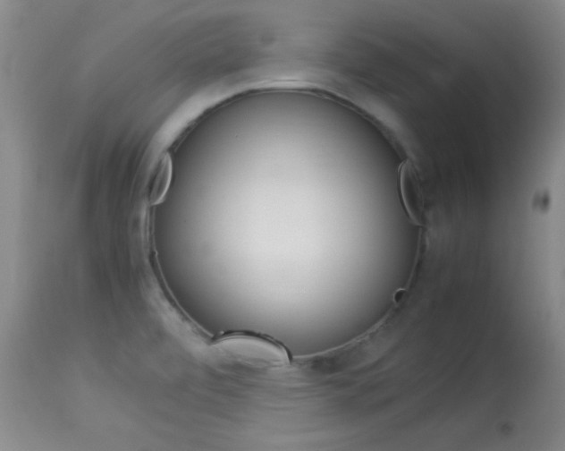 X0000113931472200909250904