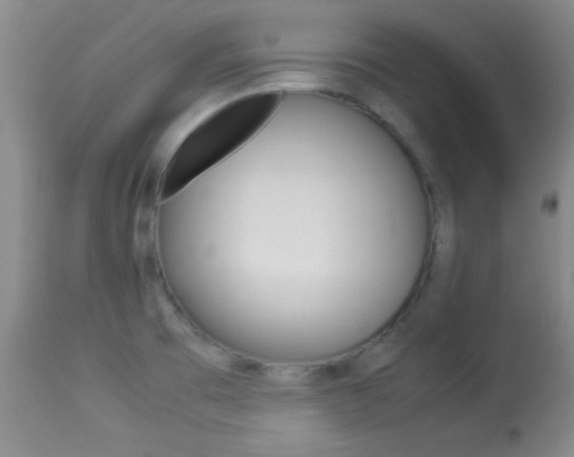 X0000113931473200909250904