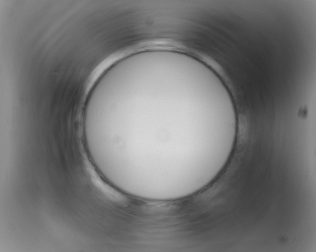 X0000113931474200909250904