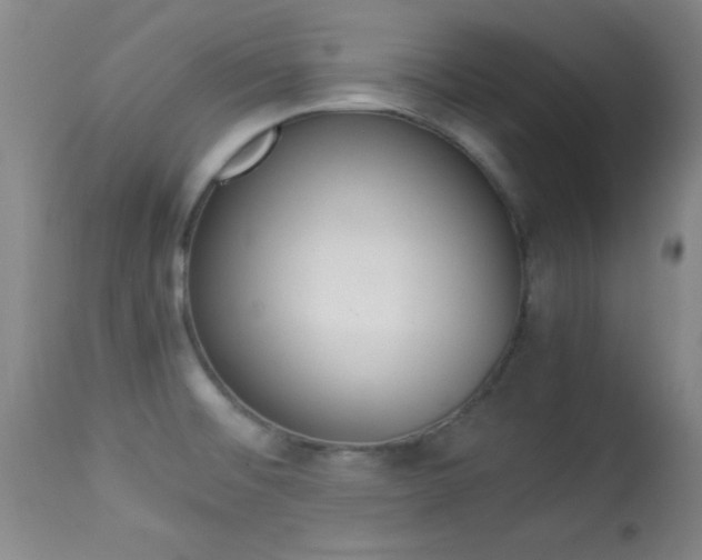 X0000113931476200909250904