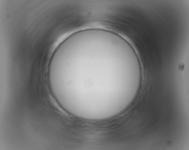 X0000113931477200909250904