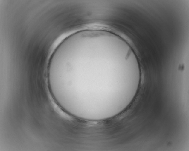 X0000113931478200909250904