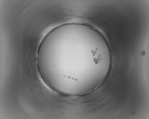 X0000113931479200909250904