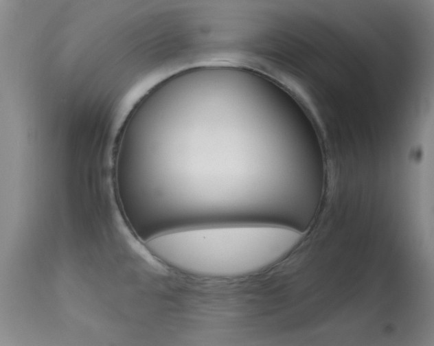 X0000113931480200909250904