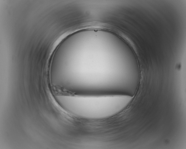 X0000113931483200909250904