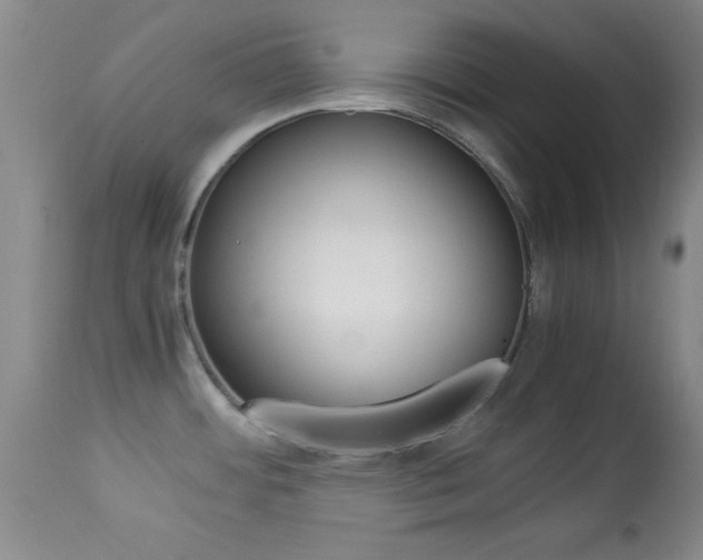 X0000113931484200909250903