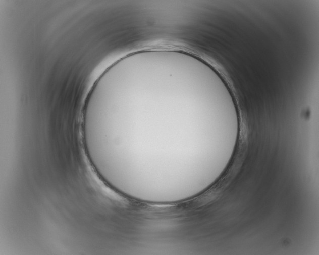 X0000113931486200909250903