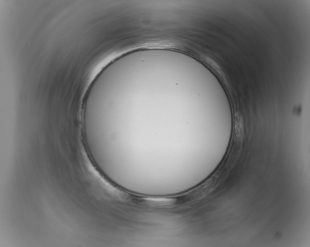 X0000113931487200909250903