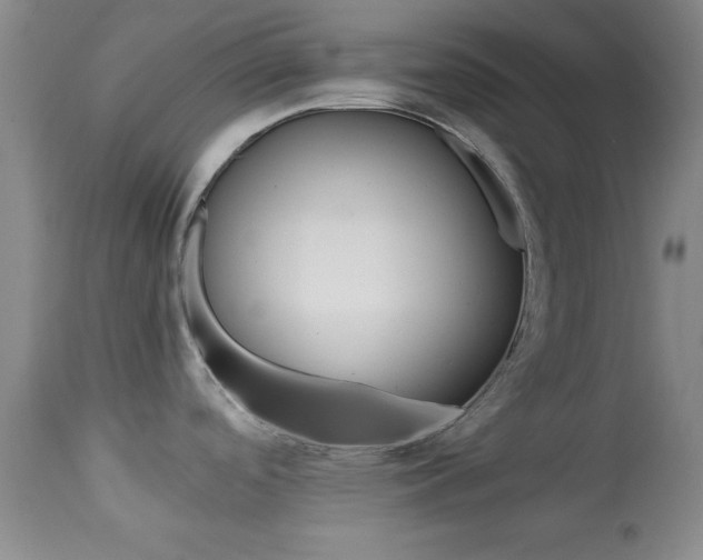 X0000113931488200909250903
