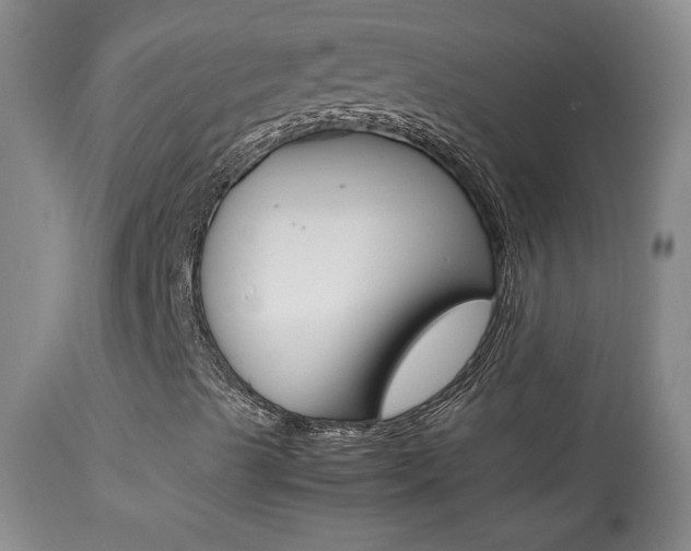 X0000113931489200909250903