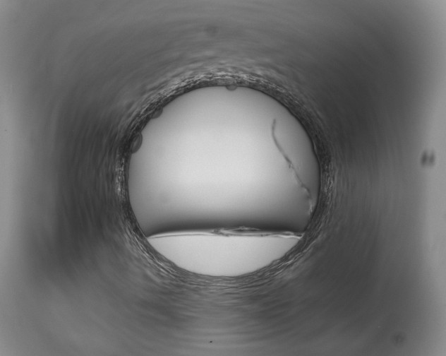 X0000113931490200909250903