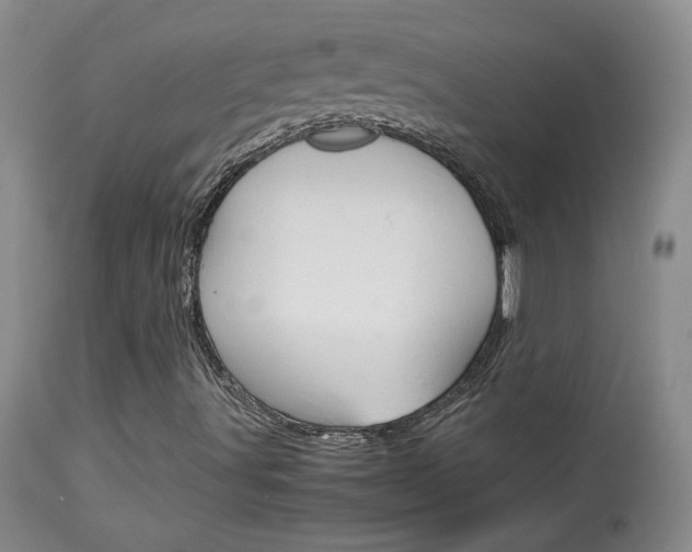 X0000113931491200909250903