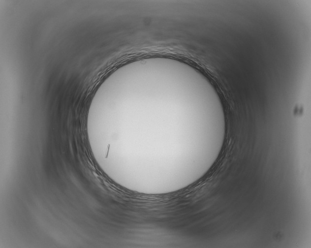 X0000113931492200909250903