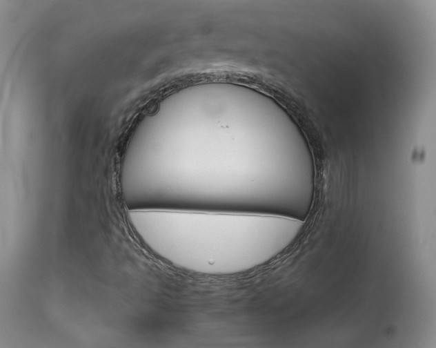X0000113931493200909250903