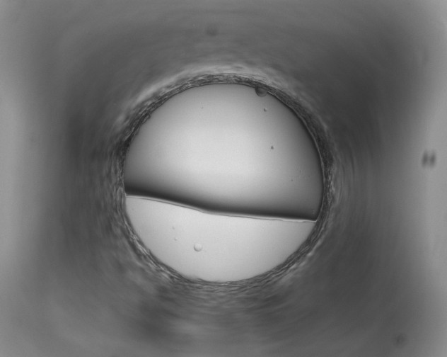 X0000113931494200909250903