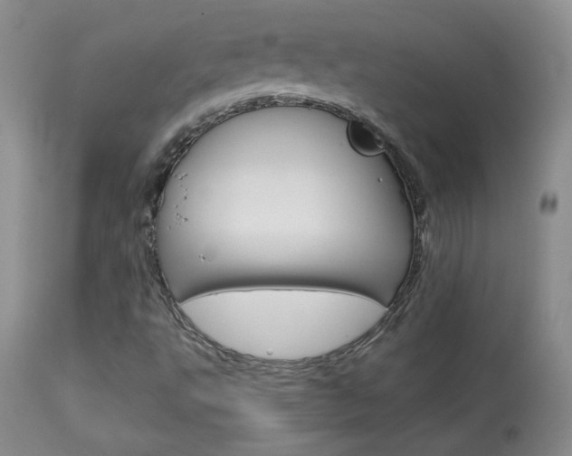 X0000113931495200909250903