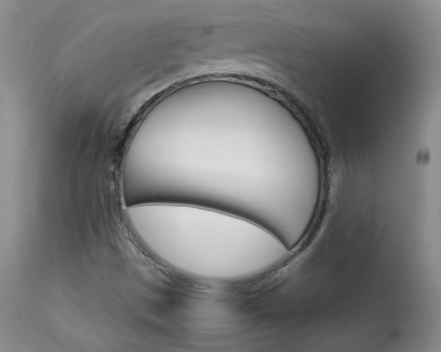 X0000113931497200909250903