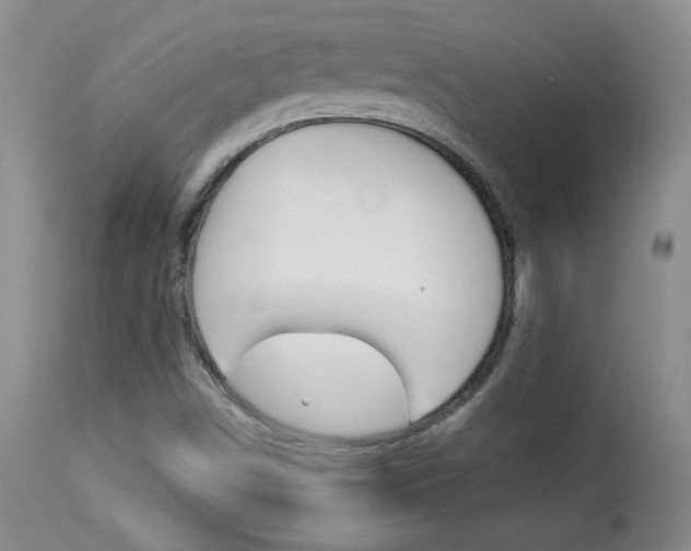 X0000113931498200909250903
