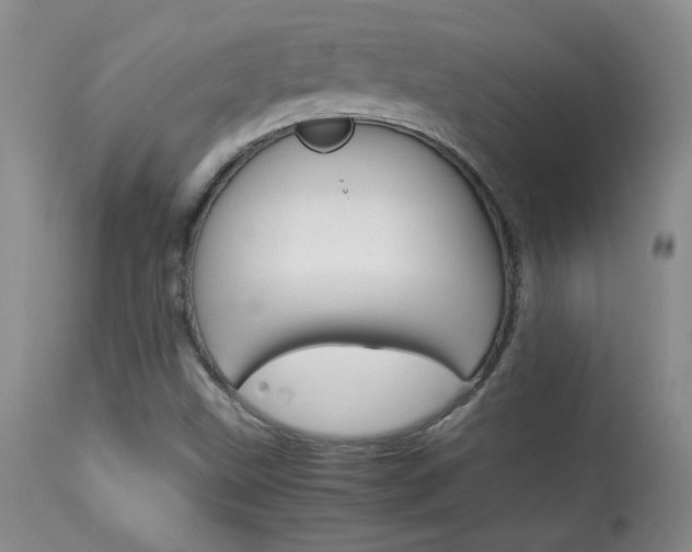 X0000113931499200909250903