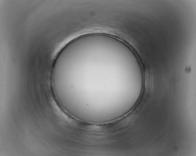X0000113931500200909250903