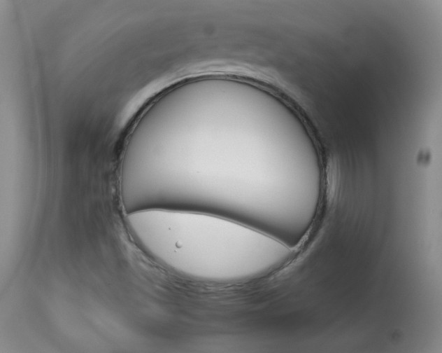 X0000113931501200909250903