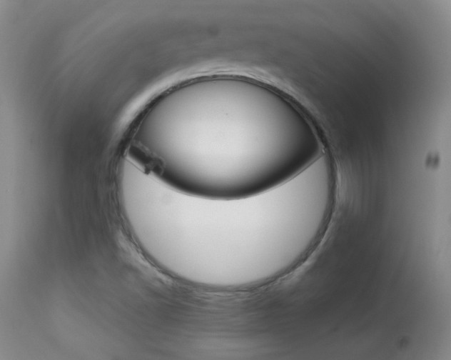 X0000113931502200909250903