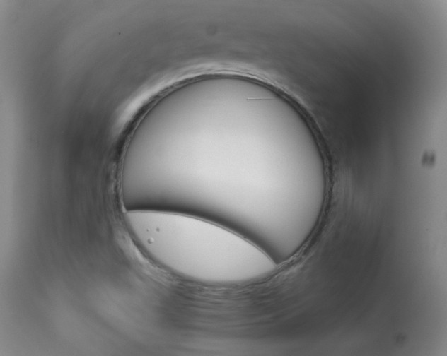 X0000113931503200909250903