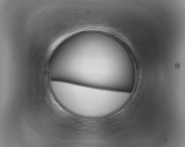 X0000113931504200909250903