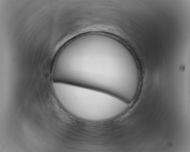 X0000113931505200909250903