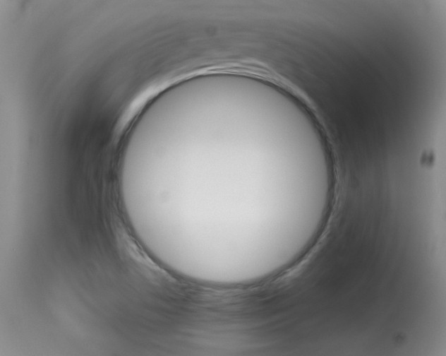 X0000113931506200909250903