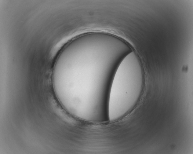 X0000113931507200909250903