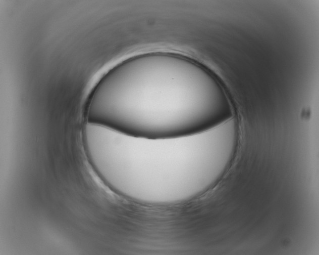 X0000113931508200909250903