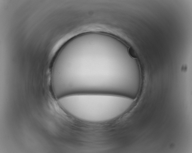X0000113931509200909250903