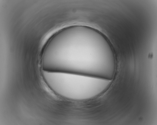 X0000113931511200909250903