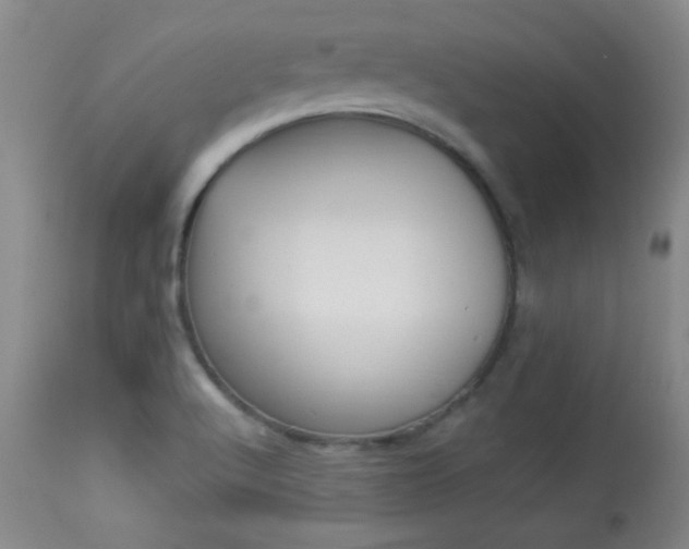 X0000113931512200909250903