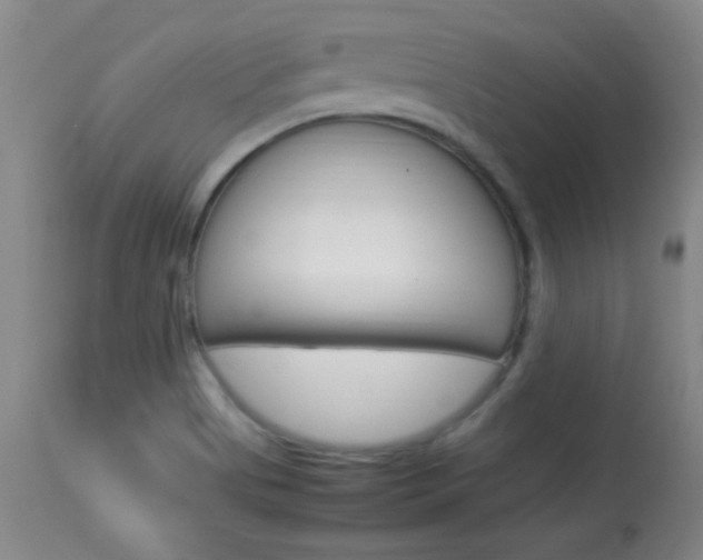 X0000113931513200909250903