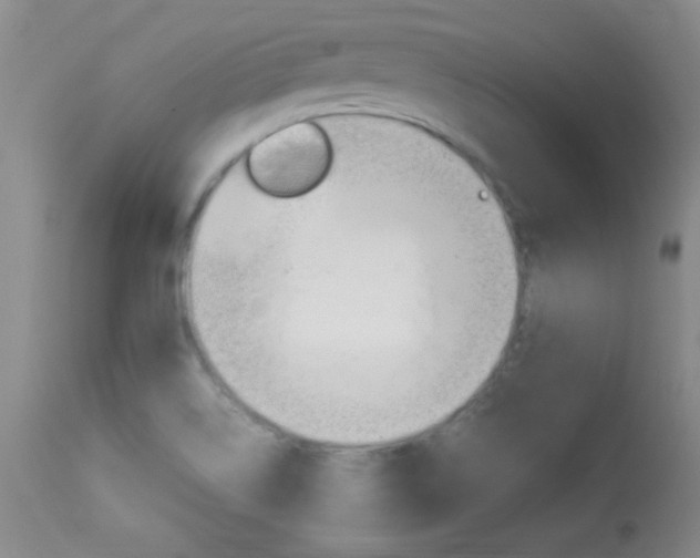 X0000113931514200909250903