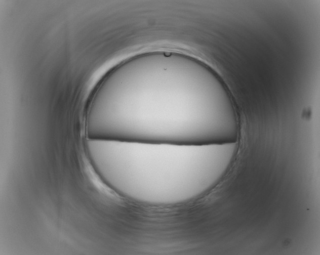 X0000113931515200909250903