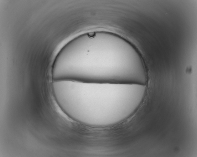 X0000113931516200909250903