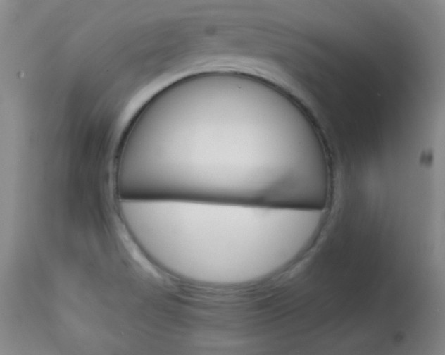 X0000113931517200909250903