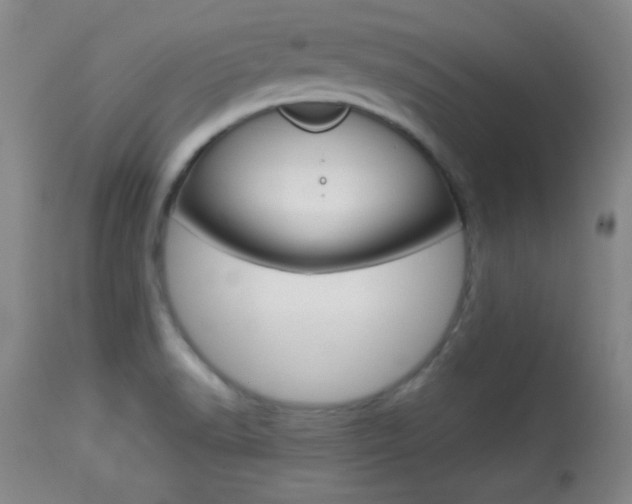X0000113931518200909250903