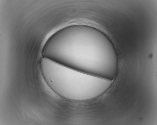 X0000113931522200909250903