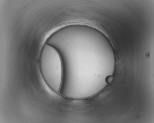X0000113931523200909250903